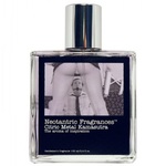 Neotantric Citric Metal Kamasutra EDT 100ml TESTER (ORIGINAL) 