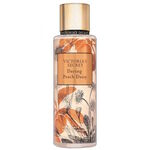 Daring Peach Daisy